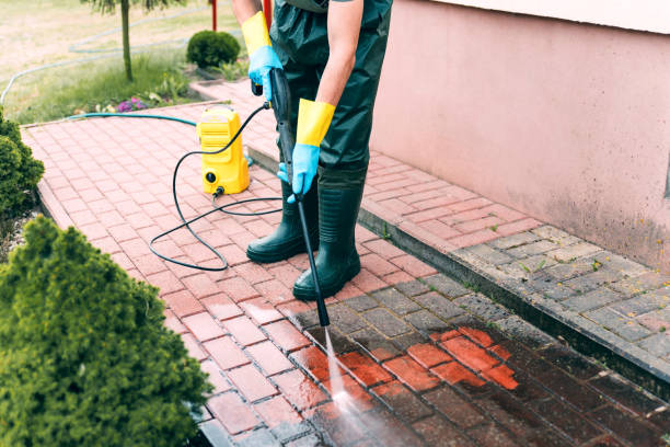 Best House Pressure Washing  in Terra Bella, CA